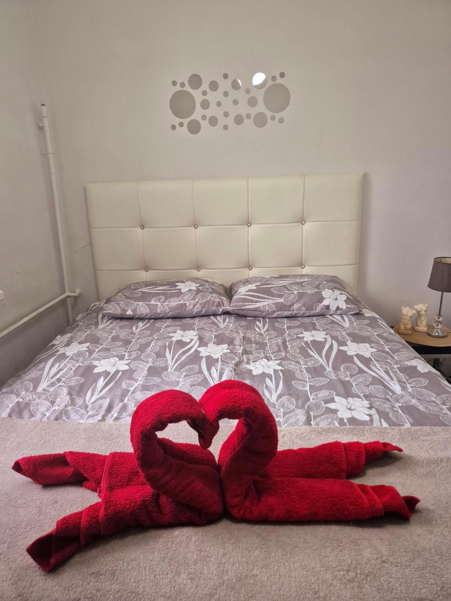 Apartament Zdunska Włocławek Exteriör bild